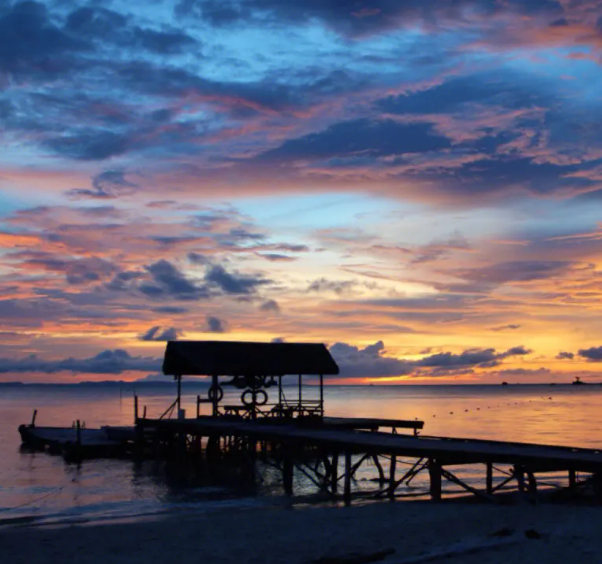 马来西亚媒体:收集蝙蝠粪便成马来西亚导游副业