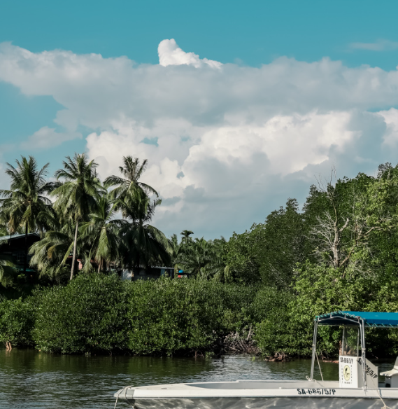 马来西亚第16任最高元首今日卸任