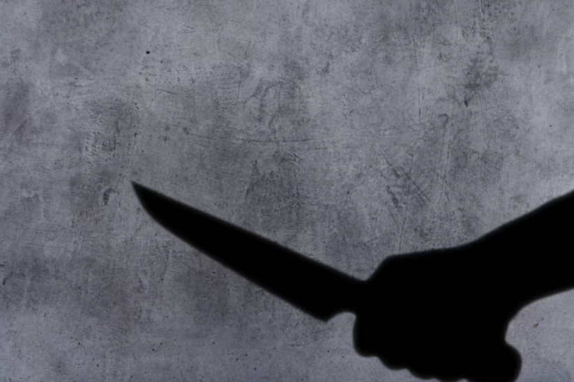 一名越南女子在孩子面前挥舞刀子,威胁要让丈夫见血,获被控恐吓和威胁罪