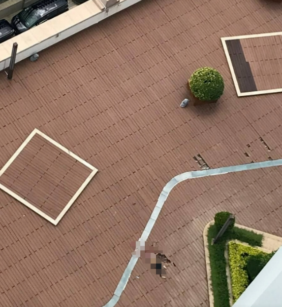 中国男子在西港坠楼身亡，身体多处器官破碎