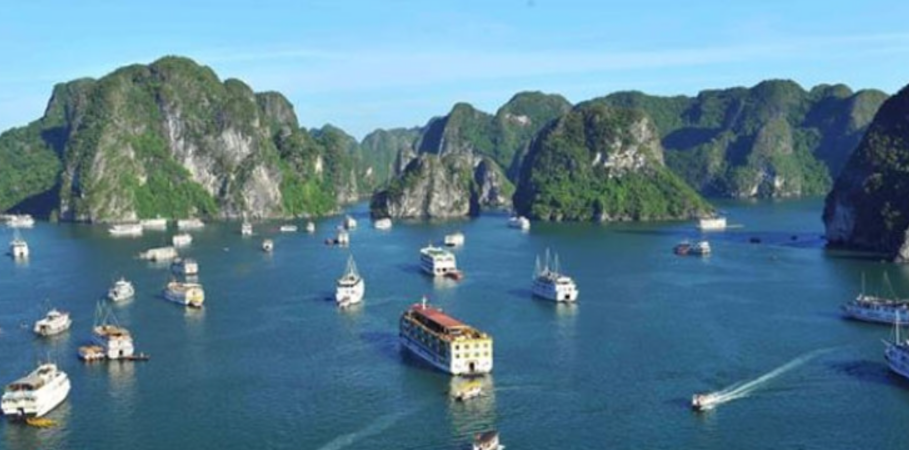 近百名中国游客被旅行社扔在了越南下龙湾，引起了大众广泛关注！