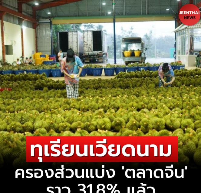 泰国急了！越南榴莲在中国的市场份额为31.8%，有望超过泰国，占领中国榴莲市场