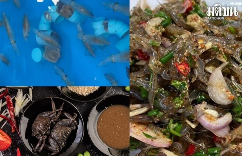 去泰国注意了！中国网红赴泰旅游期间因食用生腌而腹泻入院！