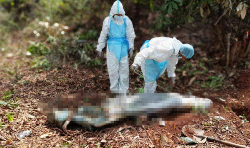 一男子遭果敢同盟军杀害!在山里埋了一个星期才挖出来!