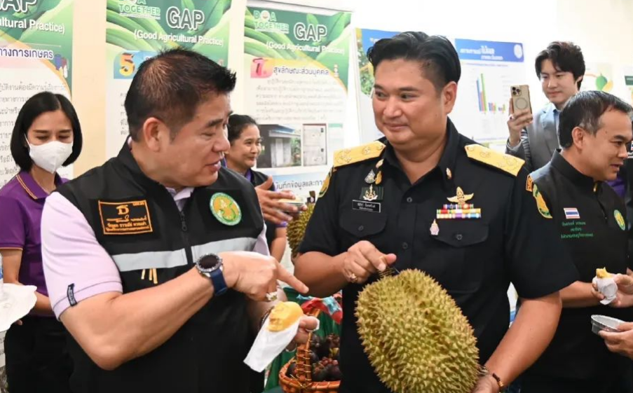 泰国警方查获来自邻国的5000公斤榴莲,试图假冒泰国榴莲并销往中国市场!