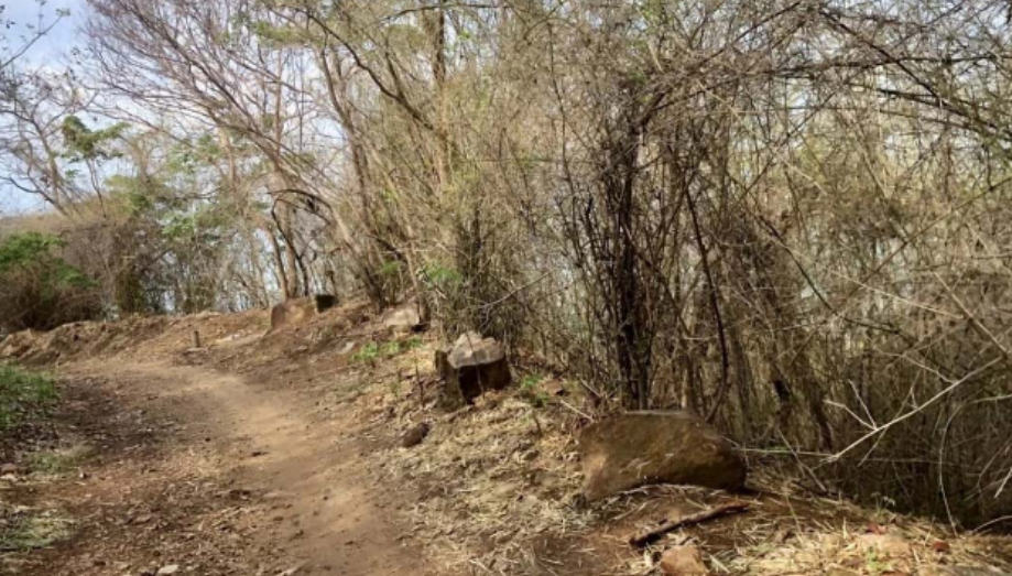 恐怖！越南一山脚下发现一个藏有腐烂女孩尸体的行李箱！