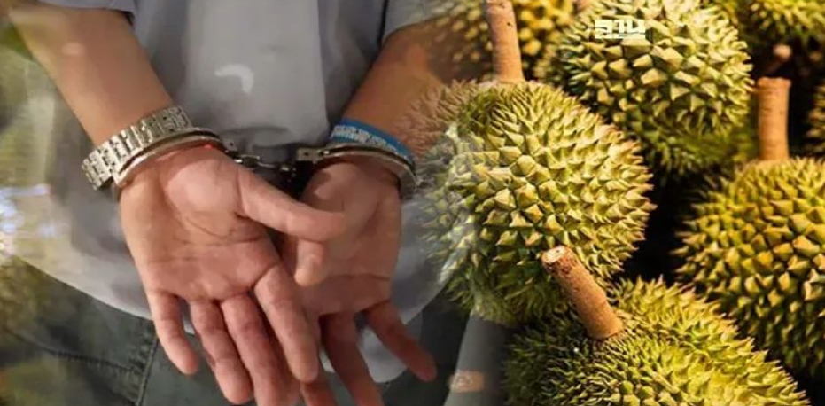 泰国警方查获来自邻国的5000公斤榴莲,试图假冒泰国榴莲并销往中国市场!