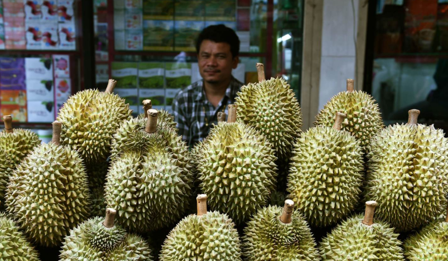 泰国榴莲在中国市场面临更激烈的竞争！全泰榴莲对华出口减少59%！