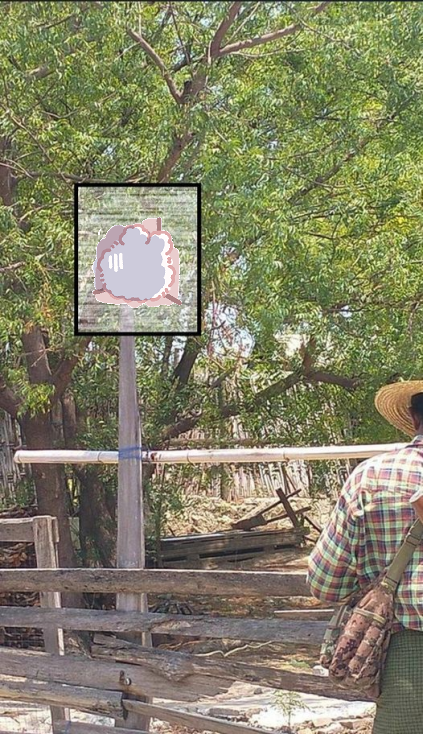 吓人!缅甸一村民被缅军士兵逮捕和杀害,头颅被砍下悬挂在家门口!