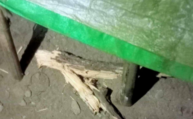 缅甸北部独居妇女遭9名蒙面男子毒打