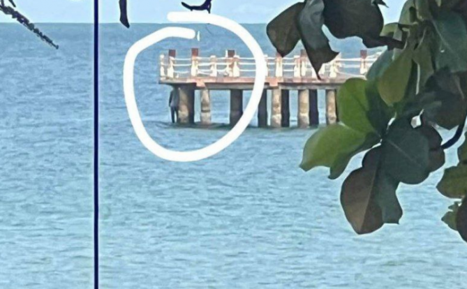 一名中国男子悬挂在西港独立海滩的码头上死亡!死状惨烈!