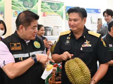 泰国警方查获来自邻国的5000公斤榴莲,试图假冒泰国榴莲并销往中国市场!