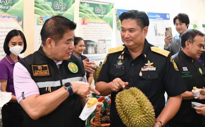 泰国警方查获来自邻国的5000公斤榴莲，试图假冒泰国榴莲并销往中国市场！