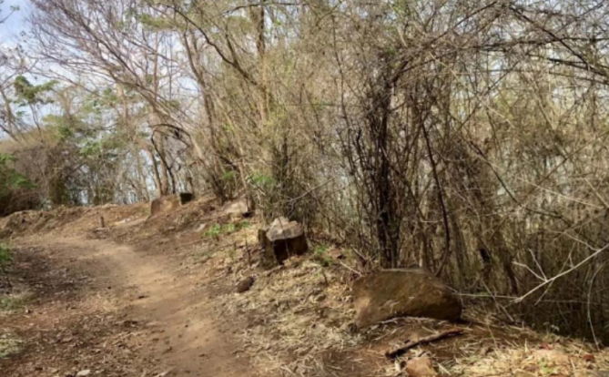 恐怖!越南一山脚下发现一个藏有腐烂女孩尸体的行李箱!